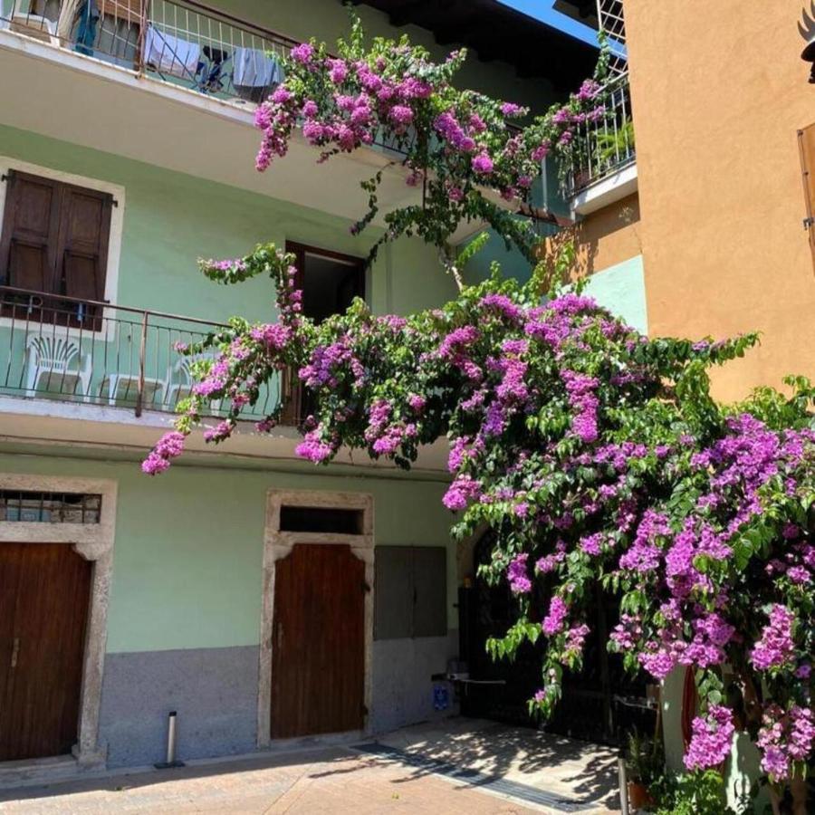 Casa Zanoni Apartment Torbole Sul Garda Екстериор снимка